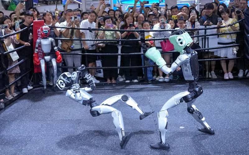 A robot boxing match.