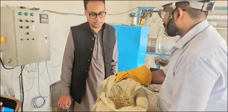The two Scientists explaining their project.