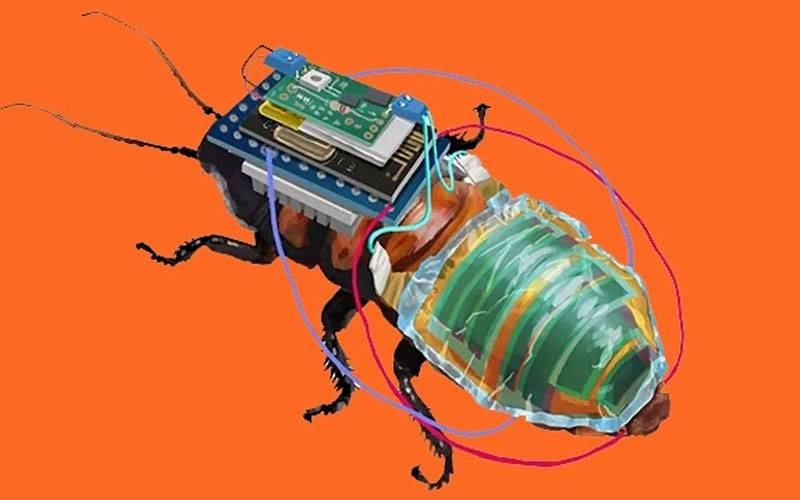 Device to trace disaster survivors