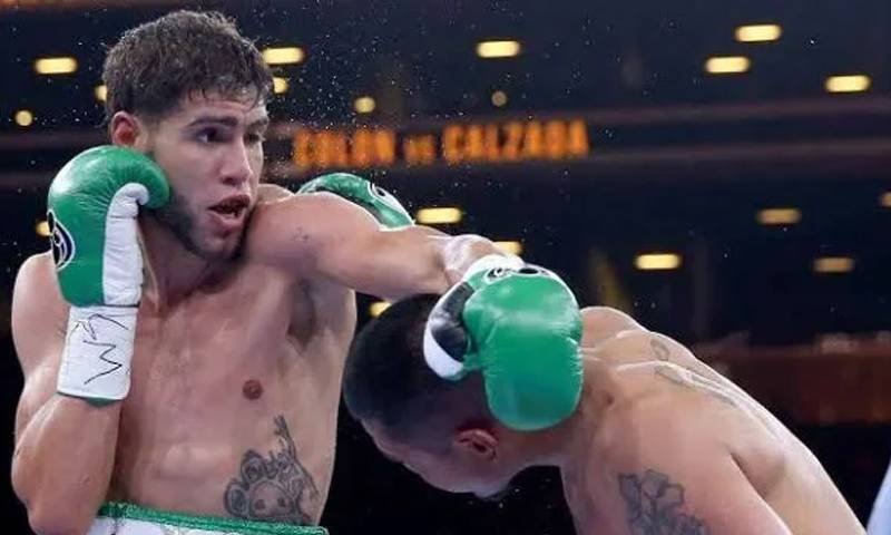Boxer who was hit and injured.