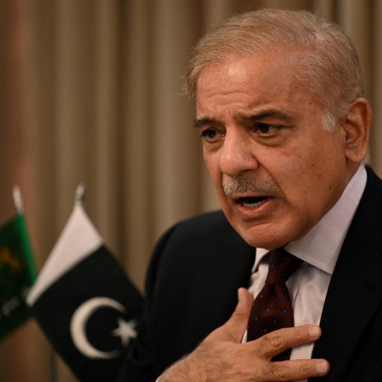 Shehbaz Sharif speaking at an independence day celebration