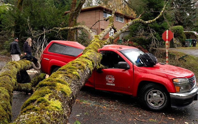 A tree falls on a car during storm in Washington.