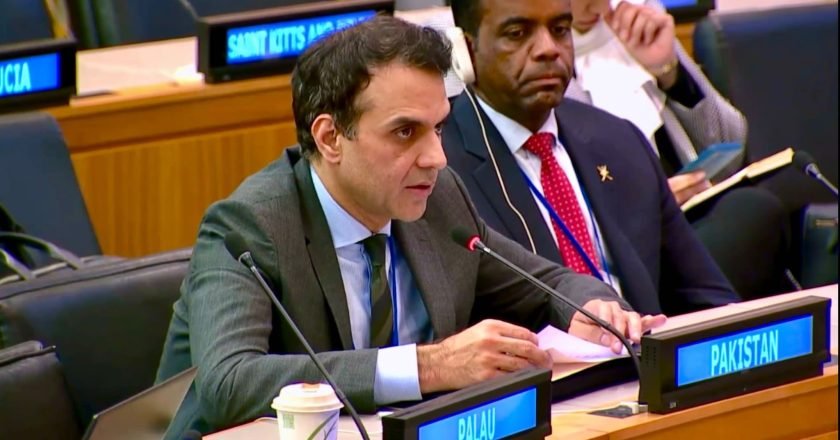 Ambassador Usman Jadoon speaks at UN