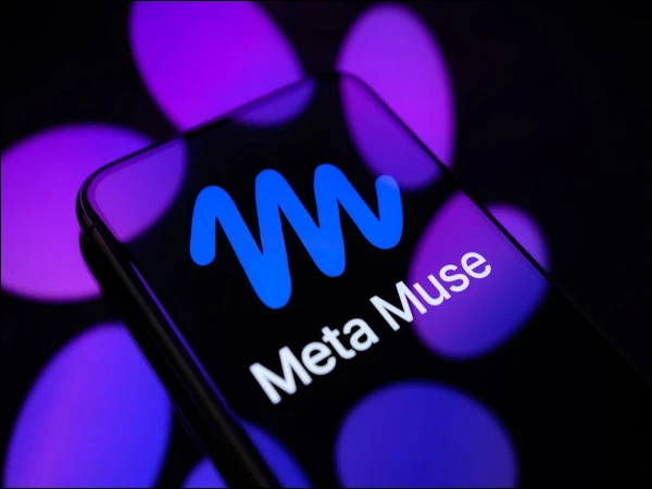 Meta privacy risks