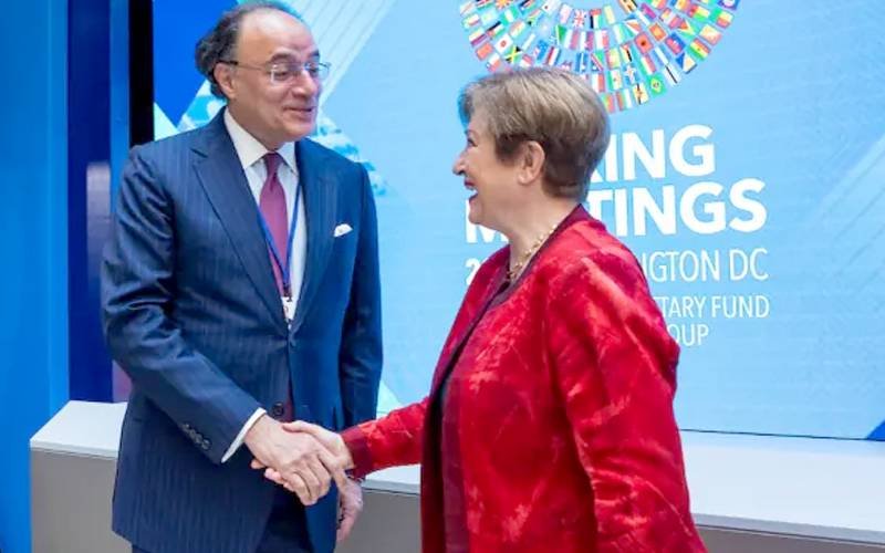 Minister and IMF chief meeting