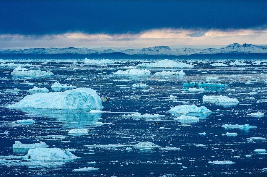 Unsung Heroes in Carbon Capture and Climate Change Mitigation  