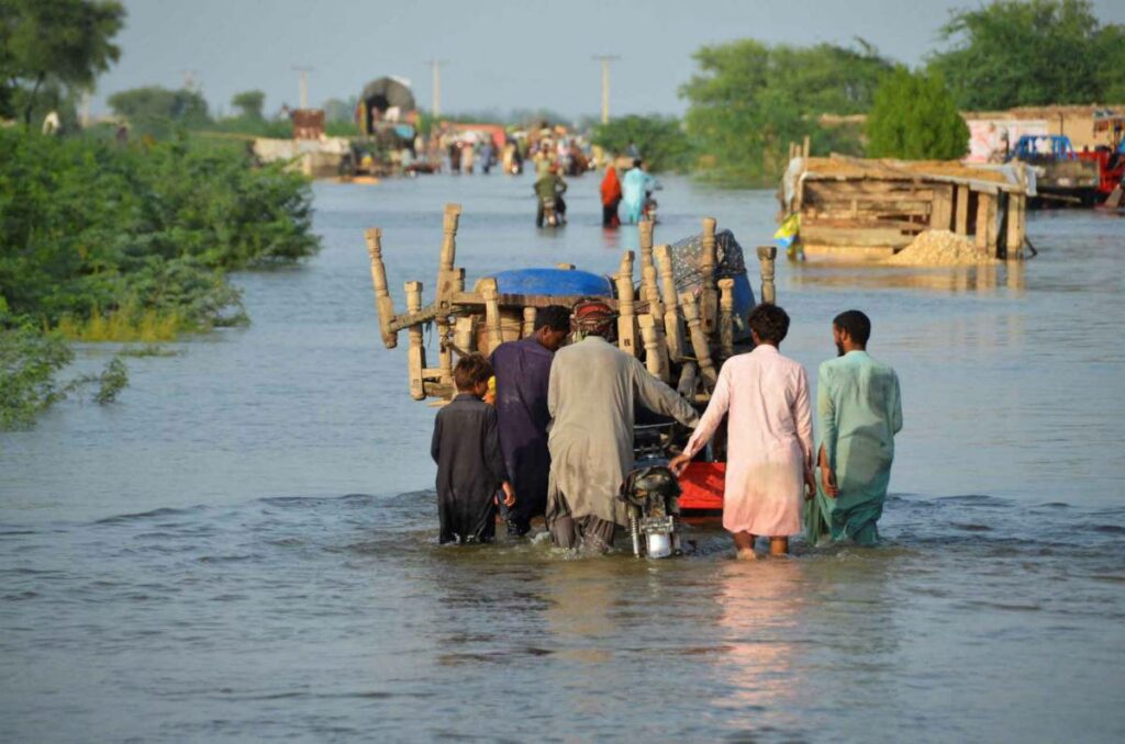 Livelihood support to flood-hit people of Sindh.