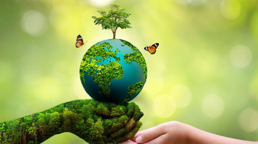 World Environment Day today