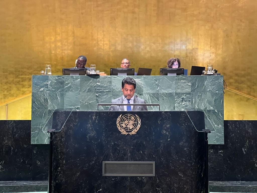 Pakistan calls for protecting suffering people of Kashmir, Palestine
