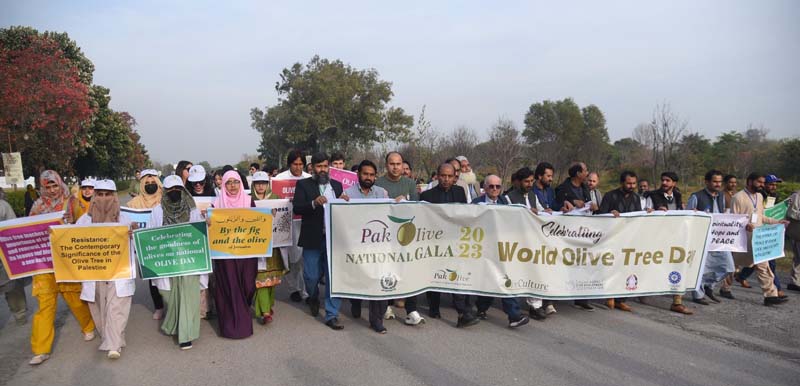 Walk held to highlight significance of olive cultivation