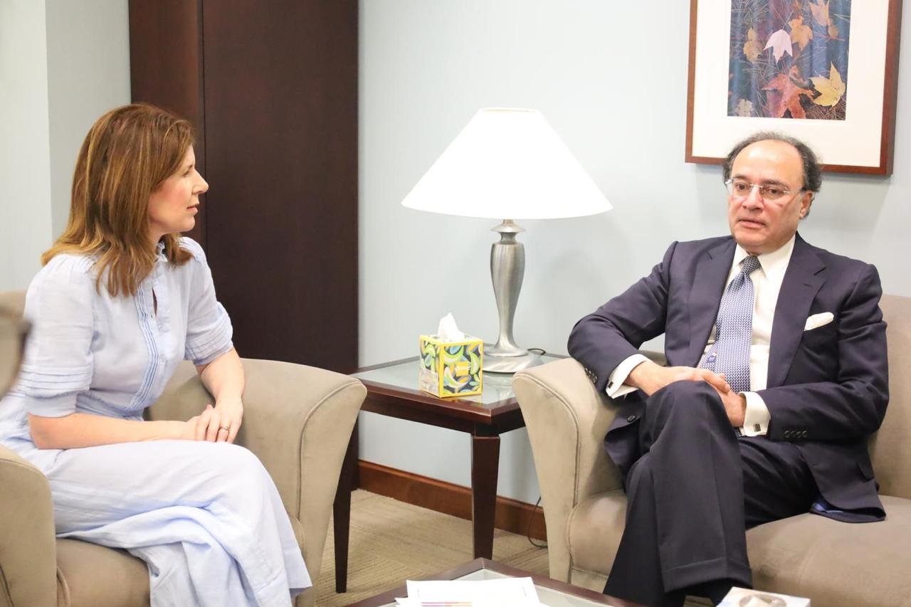 Pakistan urges swift climate action, global investment