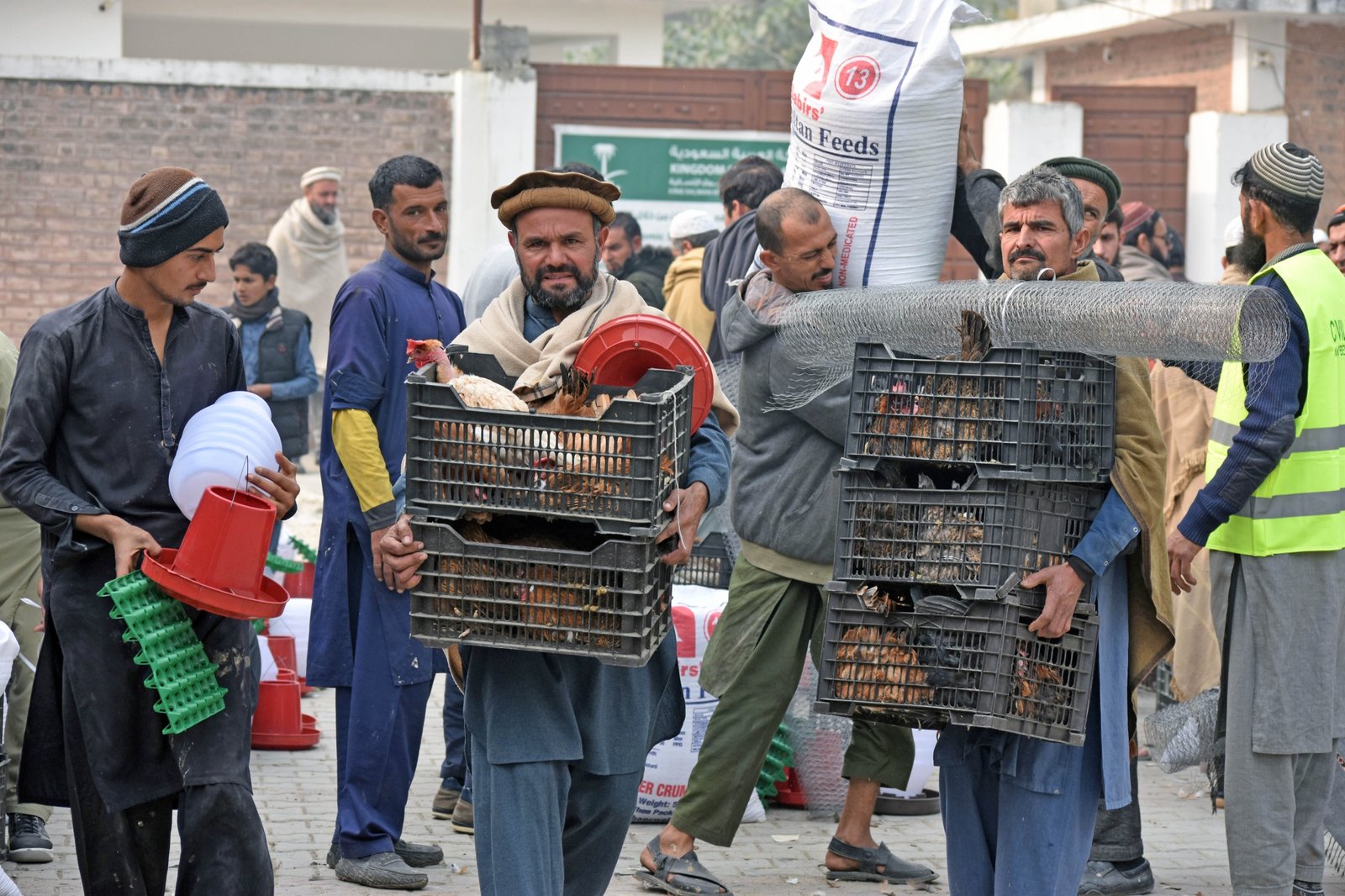 KSrelief Concludes Livestock-Based Economic Empowerment 